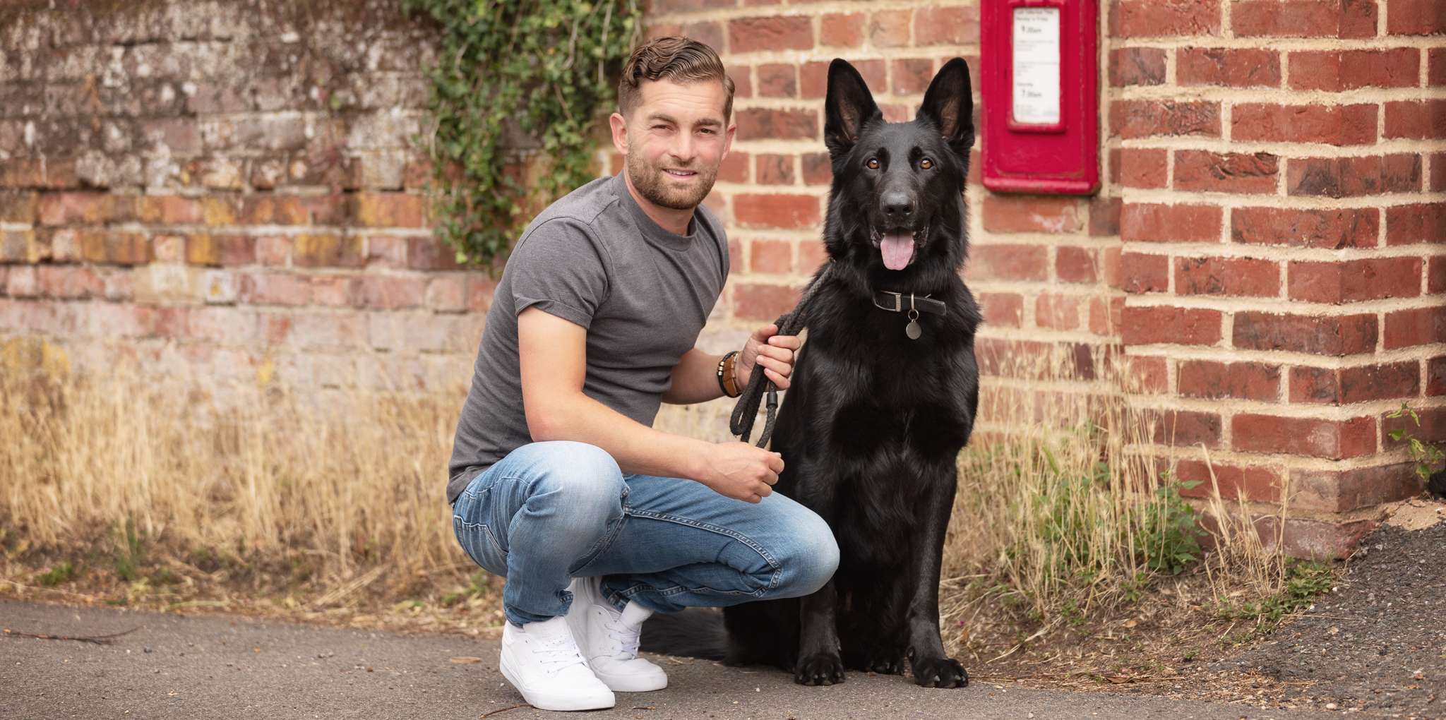 HAPPY HOUNDS HAPPY HUMANS | Dog-ease